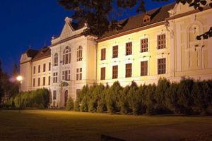 Liviu Dragnea: „Vorbim de gaz pe foc?”