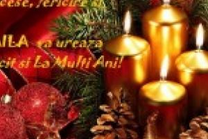 INFOBRAILA va ureaza Sarbatori Fericite!