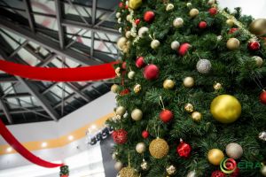 Un an nou minunat, cu ERA Park Oradea!