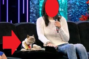 CAZ INCREDIBIL. O VEDETĂ din ROMÂNIA şi-a adus animalul MORT într-o EMISIUNE . FOTO în articol