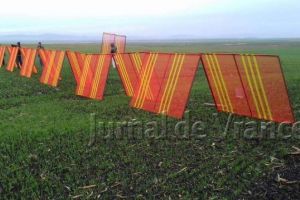 FOTO: Drumurile din  Băleşti, protejate de parazăpezi făcute de asistaţii social