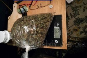 FOTO: Captură impresionantă de droguri la Bacău