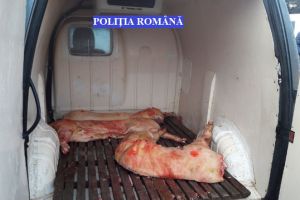Sute de kilograme de carne, confiscate la Brăila