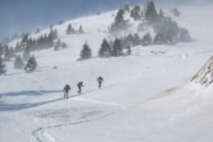 Avertisment de viscol, ninsori şi polei în aproape toată ţara! Vezi ce anunţă meteorologii