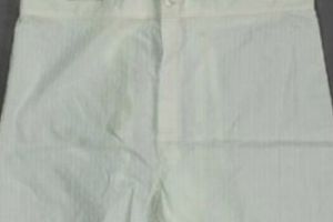 SUA: O pereche de CHILOŢI aparţinând lui HITLER a fost VÂNDUTĂ la licitaţie cu 7.000 de dolari