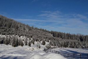 Crăciun şi Revelion în Apuseni şi la Șureanu: Pensiuni cu centre SPA, plimbări cu sania şi concerte de colinde