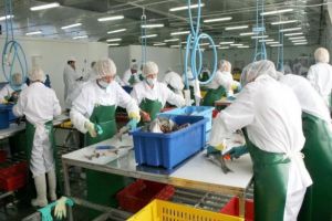 Se recrutează personal pentru prelucrarea peştelui!