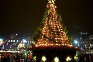 BRADUL de CRĂCIUN. Semnificaţia pe care NIMENI nu o ştia!