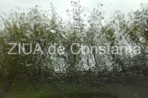 Avertizare meteo: Plecati la drum? Cod gaben de vant in mai multe judete  