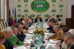 CJ Suceava a aprobat un proiect pentru amenajarea de alveole de calmare a traficului pe ...