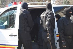 Percheziţii la persoane bănuite de infracţiuni silvice