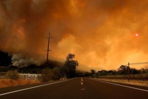 După cele mai puternice incendii din istoria SUA, BILANŢUL este dezastruos