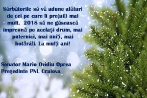 Mario Ovidiu Oprea (PNL): Sărbătorile să vă adune alături de cei pe care îi preţuiţi mai mult. La mulţi ani!