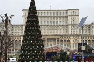 Luaţi AMINTE cum să vă COMPORTAȚI de CRĂCIUN!