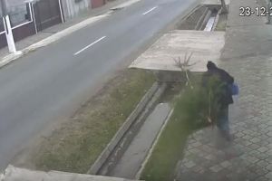 VIDEO: Cum şi-a ”făcut rost” de brad un cetăţean din Sebeş