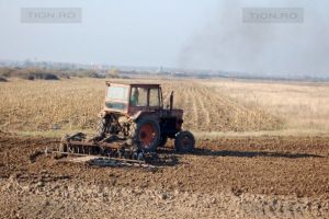 Terenul agricol din vestul Romaniei atrage tot mai multi investitori