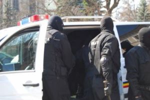 PERCHIZIŢII de AMPLOARE la „MAFIA LEMNULUI”