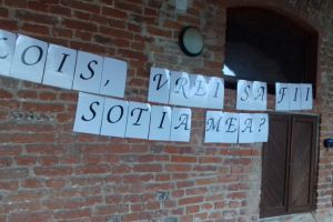 Vrei să fii soţia mea? Cerere în căsătorie inedită, în Cetatea Oradea (FOTO)