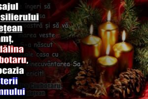 Mesajul consilierului judeţean Neamţ, Mădălina Ciubotaru, cu ocazia Naşterii Domnului