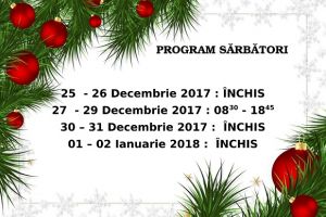 Program Sărbători – Biblioteca Judeţeană „Alexandru şi Aristia Aman”