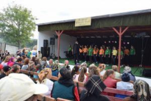 “Fantasia”, pe scena Festivalului ”Gheorghe Cucu”