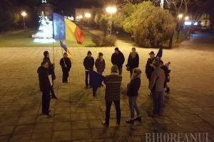 Ajun de Crăciun în stradă: Circa 20 de orădeni au protestat în Parcul 1 Decembrie (FOTO)