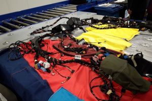 De la Pământ la Lună: Curiozităţi din Leoni Bistriţa