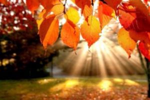 Vreme caldă mai ales în regiunile intracarpatice, unde temperaturile vor fi peste cele normale