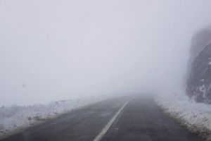 Cod galben de vânt şi ceaţă în opt judeţe