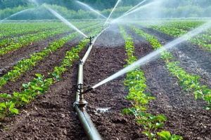 Investiţii în irigaţii, în două localităţi din judeţul Mureş