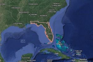 Avion prabusit pe un aeroport din Florida. Cel putin patru morti