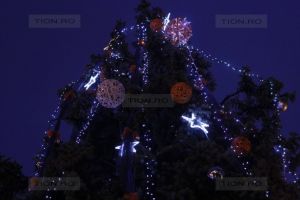 Traditii de Craciun in Banat