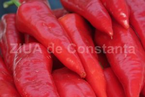 Ardeiul capia, ajutorul de nadejde in curele de slabire