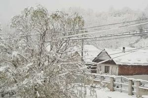 Cum va fi vremea de Revelion. Vezi zonele unde va ninge