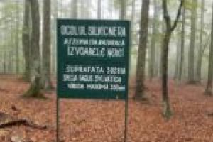 Presiuni ale Direcţiei Silvice pentru defrişări în rezervaţii şi zona de protecţie din Parcul Naţional Semenic!