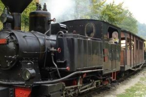 TUPEU fără limite la un şofer. A parcat pe calea ferată şi a blocat Mocăniţa din Moldoviţa. Ce a urmat mai departe