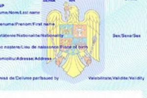 SCANDALOS! Povestea tragică a tinerei fără identitate. Este invizibilă pentru statul român! MESAJ CUTREMURĂTOR al acesteia: „În ziua de astăzi şi câinii...”