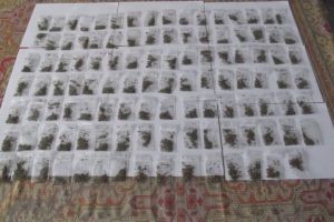 Constanta. Tineri depistati cu substante interzise asupra lor in zona ICIL si Piata Ovidiu