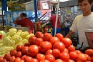 Cultivatorii de rosii vor primi ajutor de la Guvern si in 2018