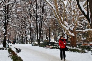 Primăria reamenajează parcul Astra. Vor fi schimbări majore
