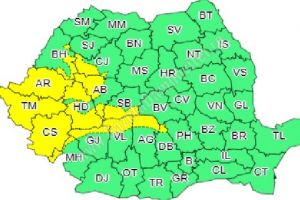 Cod Galben de vânt în zona montană a judeţului