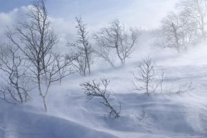 COD GALBEN în Alba, până în 28 decembrie, ora 22.00 – Vânt cu viteze de peste 80 km/h la munte