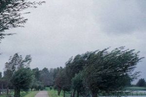 ALERTĂ ANM. Cod GALBEN de VÂNT PUTERNIC în ROMÂNIA