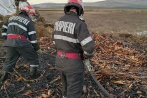 Subofiteri de la ISU Delta, interventie pentru limitarea unui incendiu intr-o gospodarie. Au ars trei tone de coceni