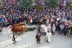 Mii de suceveni au urmărit parada obiceiurilor de iarnă de la Suceava