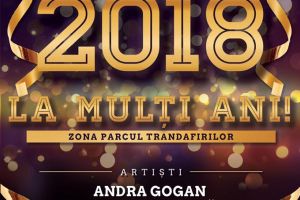 Petrecere cu artificii, de Revelion, în Centrul Bacăului