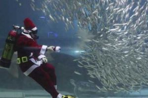 S-a GĂSIT modalitatea perfectă de a te RELAXA. Imaginile care au un EFECT incredibil asupra CREIERULUI - GALERIE FOTO