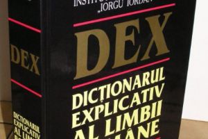 INEDIT! Acesta este topul CELOR MAI CĂUTATE cuvinte din Dexonline. FOTO în articol