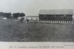 #citesteDobrogea: Bulgarii, a doua minoritate a Dobrogei. Lucrari din Biblioteca Virtuala ZIUA de Constanta