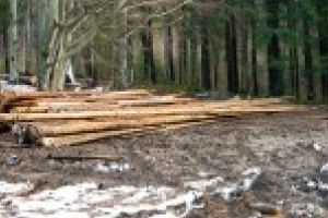 OFICIAL. Semenic – Cheile Caraşului, cel mai prost administrat parc naţional din România!